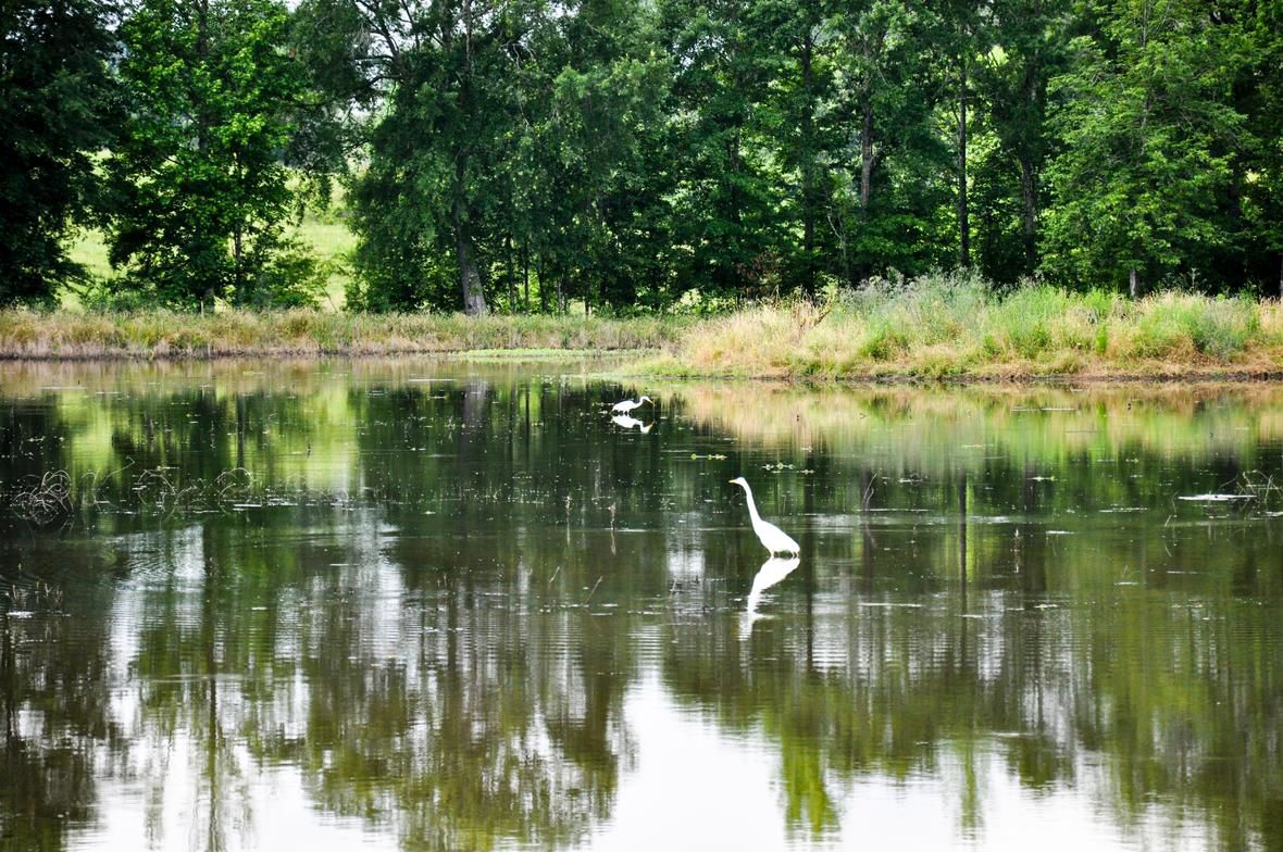 Sabine Parish